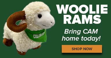 Image of a Cam the Ram plush toy with the words WOOLIE RAMS - Bring CAM home today!