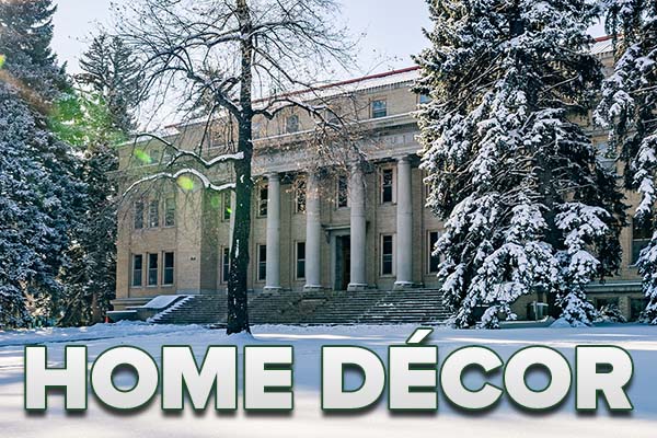 Image of the CSU Administration building with a text that reads HOME DECOR.